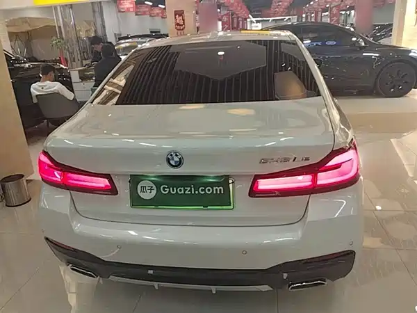 BMW 5 Series PHEV 2022, фото 6
