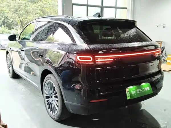 Leapmotor C11 2023, фото 4