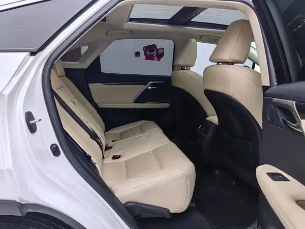 Lexus RX 2020, фото 10