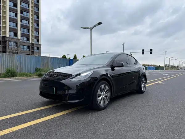 Tesla Model Y 2022, фото 3