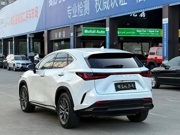 Lexus NX 2023, фото 20