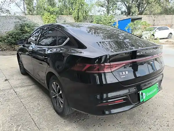 BYD Qin PLUS 2024, фото 4