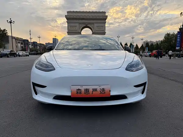 Tesla Model 3 2021, фото 2
