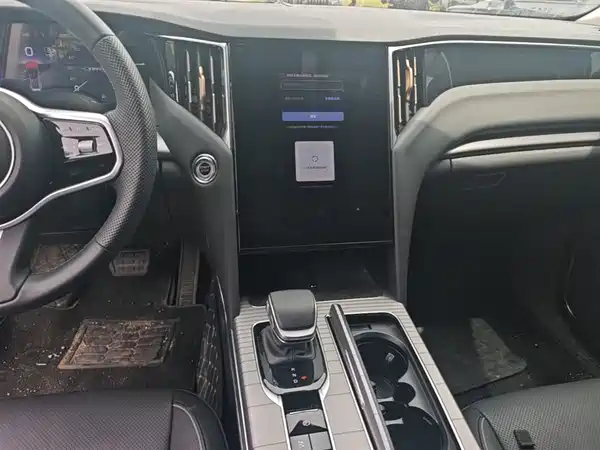 Hongqi HS7 PHEV 2024, фото 13