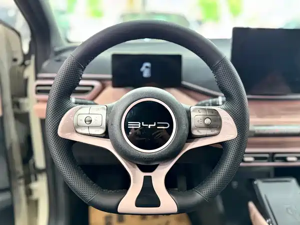 BYD Seagull 2023, фото 13