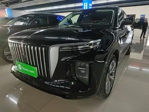 Hongqi E-HS9 2021, фото 2