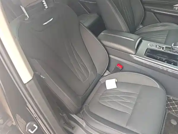 Hongqi HS7 PHEV 2024, фото 25