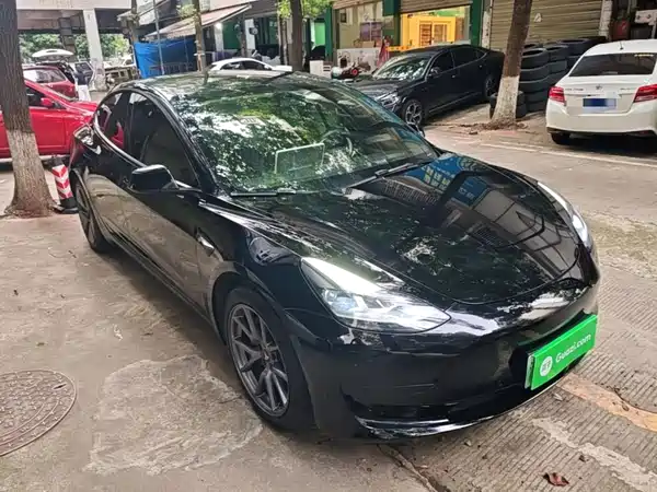Tesla Model 3 2022, фото 3