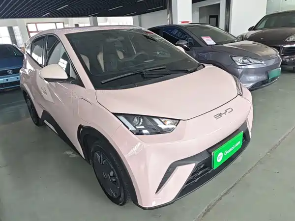 BYD Seagull 2023, фото 3