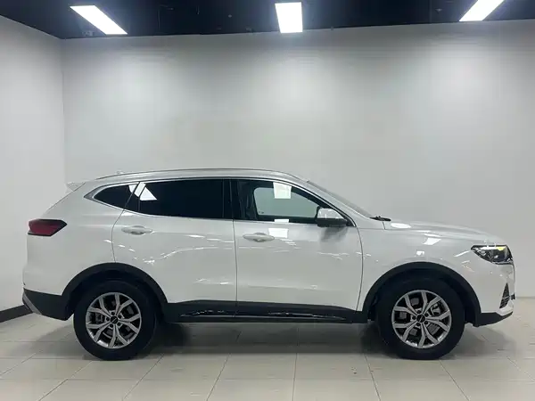 Haval H6 2021, фото 4