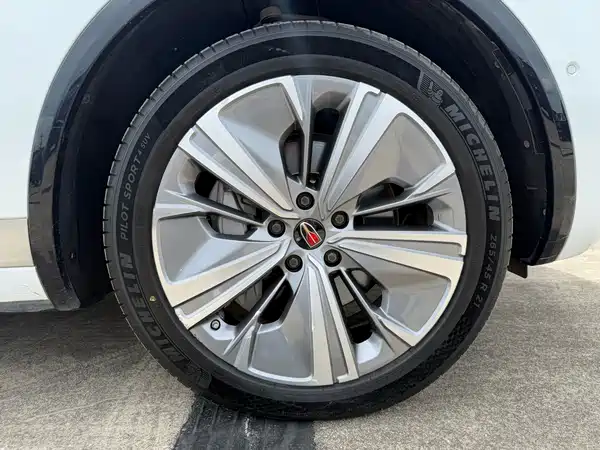 Hongqi E-HS9 2022, фото 16