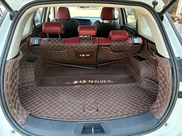 Changan CS75 PLUS 2021, фото 10