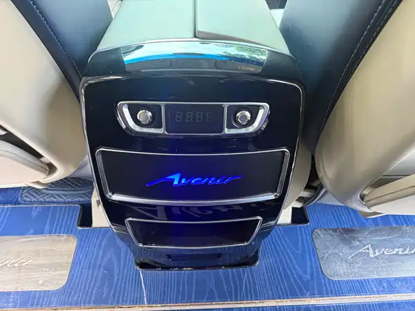Buick GL8 2023, фото 20