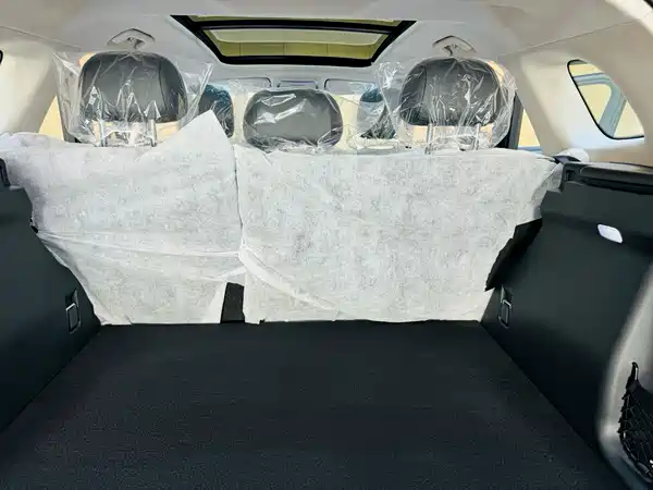 Hongqi HS3 PHEV 2025, фото 9