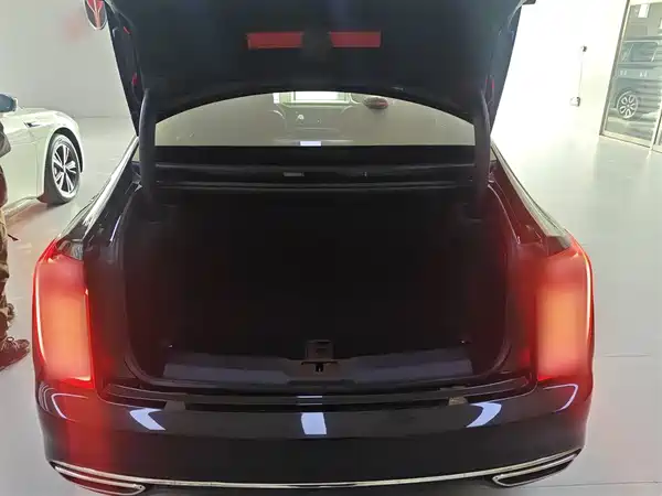 Hongqi H9 2023, фото 18