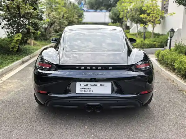 Porsche 718 2022, фото 14