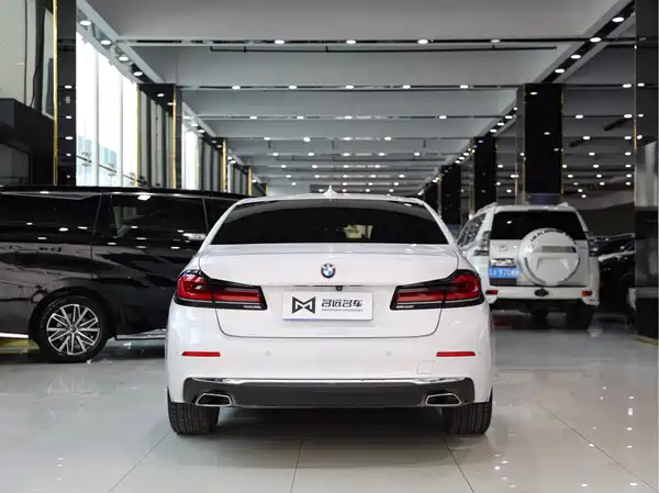 BMW 5 Series 2022, фото 15
