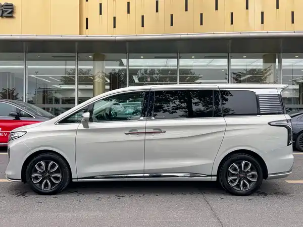 Hongqi HQ9 2023, фото 4