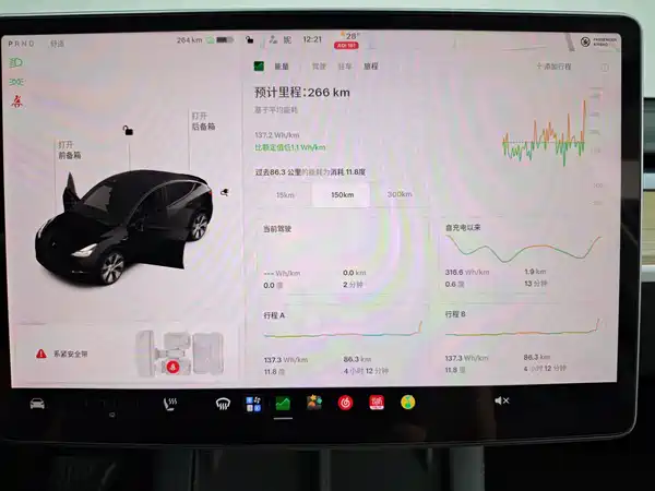 Tesla Model Y 2021, фото 39