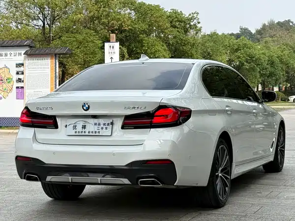 BMW 5 Series 2022, фото 17