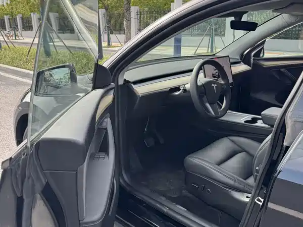 Tesla Model Y 2022, фото 6