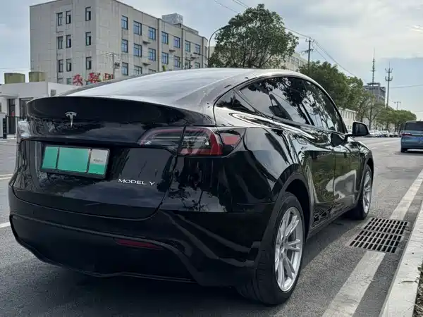 Tesla Model Y 2022, фото 10