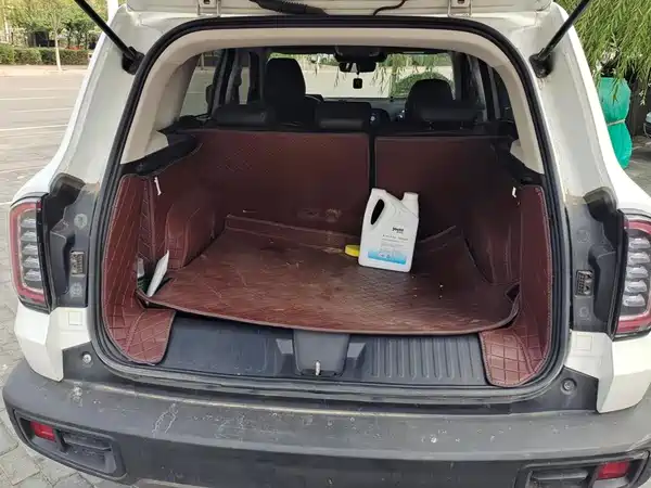 Haval Dargo 2021, фото 4
