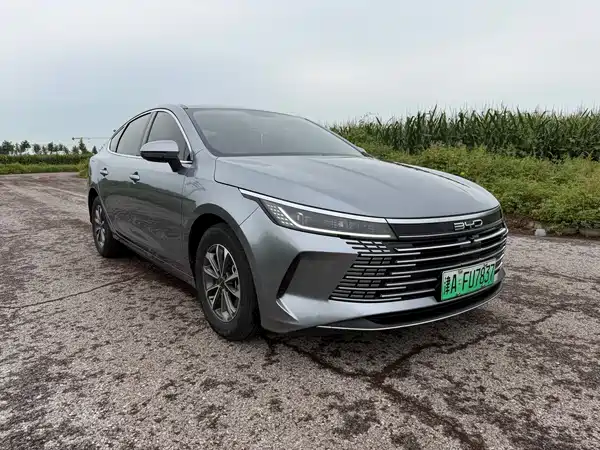 BYD Destroyer 05 2024, фото 4
