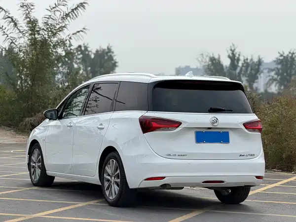 Buick GL6 2021, фото 9