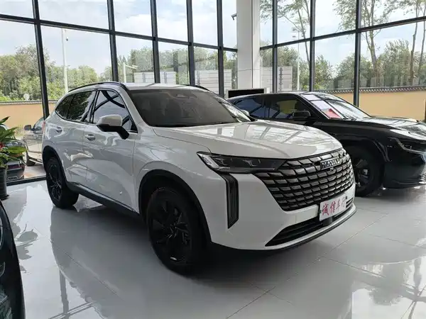 Haval H6 2024, фото 3