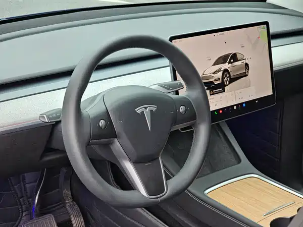 Tesla Model Y 2023, фото 13