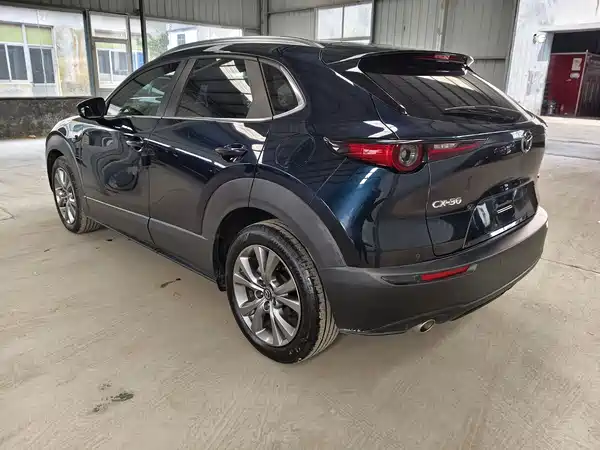 Mazda CX-30 2021, фото 12