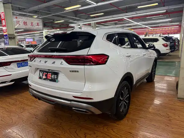 Haval H6 2023, фото 5