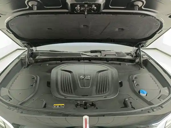 Hongqi E-HS9 2021, фото 10