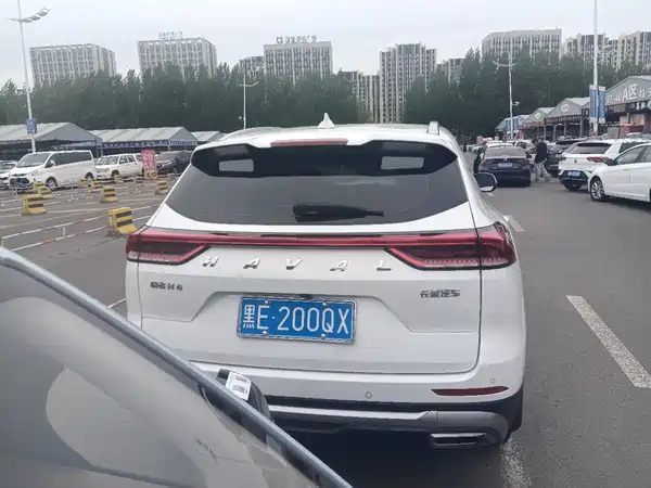 Haval H6 2021, фото 4