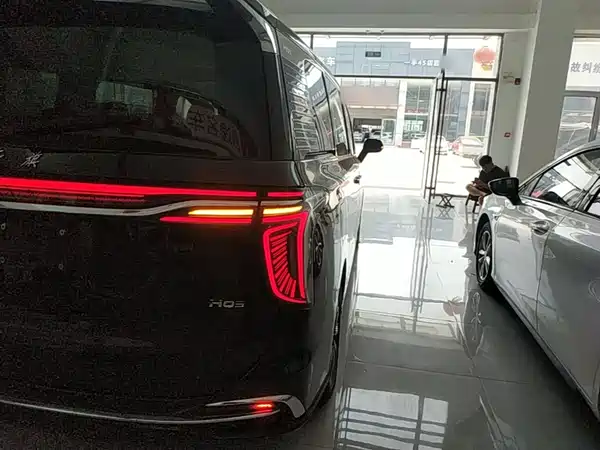 Hongqi HQ9 2023, фото 8