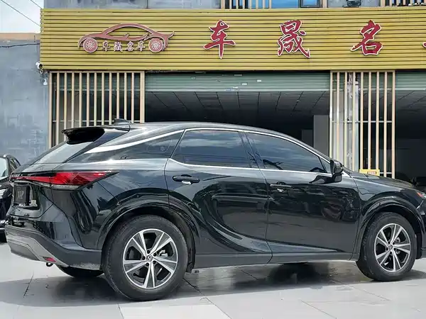 Lexus RX 2023, фото 11