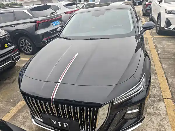 Hongqi H5 2024, фото 2