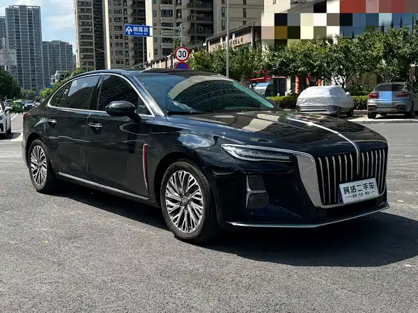 Hongqi H5 2023, фото 3