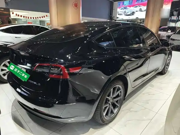 Tesla Model 3 2022, фото 6