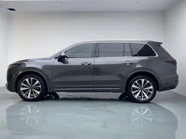 Li Auto ONE 2021, фото 7