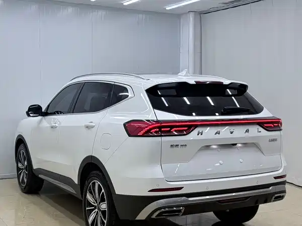 Haval H6 2023, фото 6