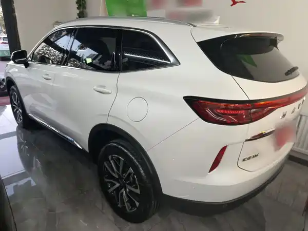 Haval H6 2021, фото 10