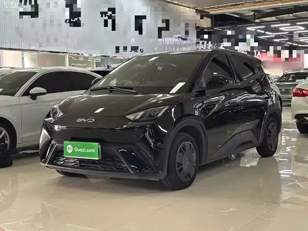 BYD Seagull 2024