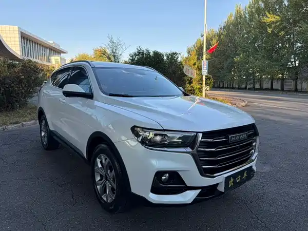 Haval H6 2021, фото 3