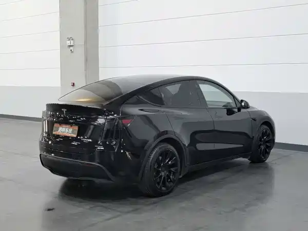 Tesla Model Y 2022, фото 2