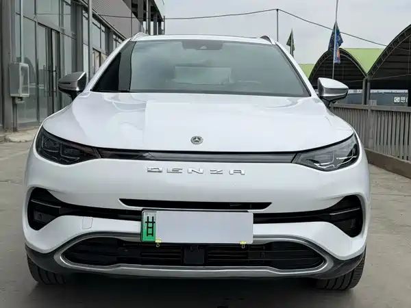 Denza X 2020, фото 2