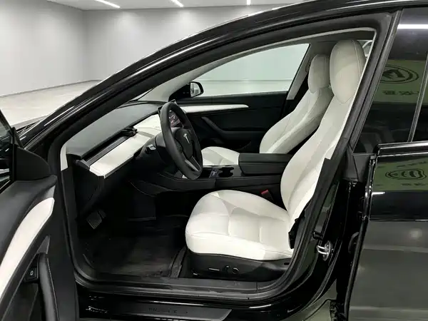 Tesla Model 3 2022, фото 5