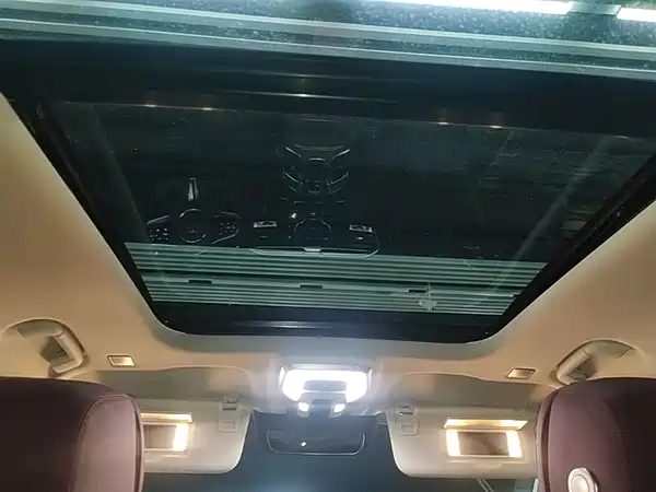 Hongqi E-HS9 2021, фото 18