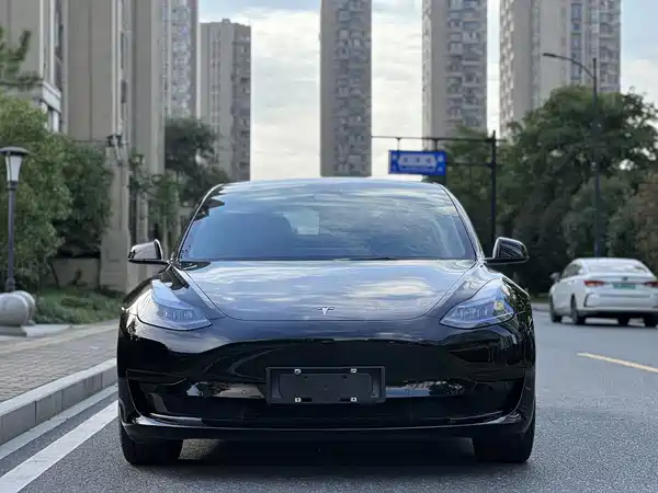 Tesla Model 3 2022, фото 2